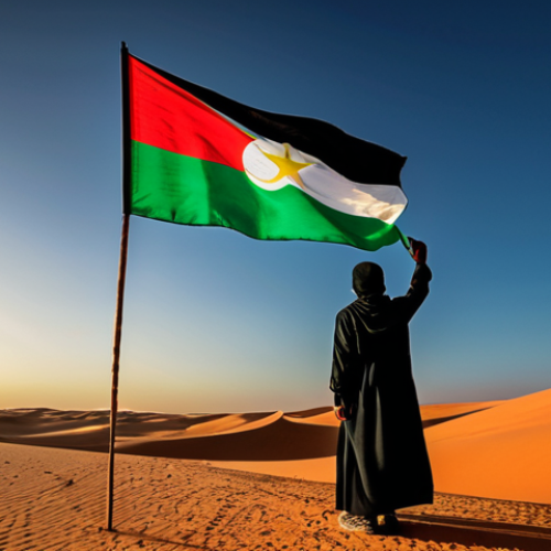 Home 17 사하라 아랍 민주 공화국의 국기 의미 - **Image:** A vibrant flag of the Sahrawi Arab Democratic Republic (RASD) waving proudly against a ba...